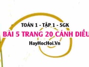 Bài 5 trang 20 Toán 12 tập 1 Cánh Diều